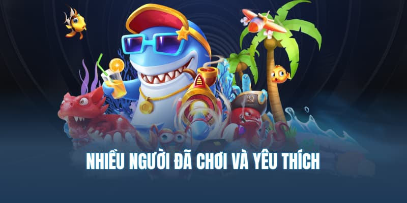 Nhiều người chơi yêu thích